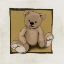 Picture of TEDDY BEAR