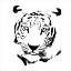 Picture of TIGER