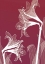 Picture of X-RAY FLOWERS