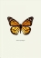 Picture of YELLOW BUTTERFLY