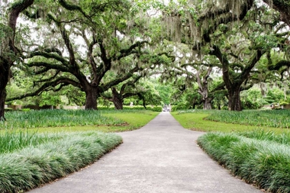 Picture of GARDEN ENTRANCE