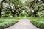 Picture of GARDEN ENTRANCE