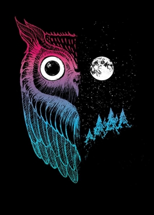 Picture of NIGHT OWL