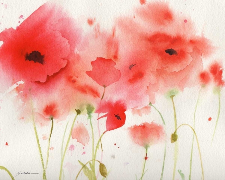 Picture of RED POPPIES