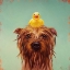 Picture of BATH TIME