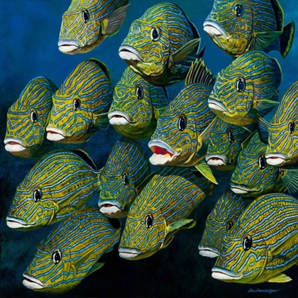Picture of SHOAL OF GRUNTS