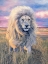 Picture of TIMBAVATI MESSENGER