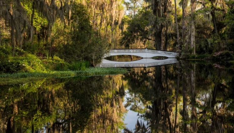 Picture of LONG WHITE BRIDGE