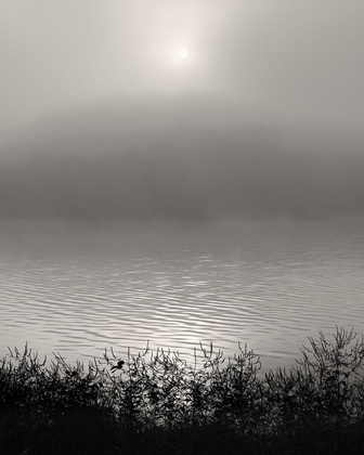 Picture of MONOCHROME SUNRISE