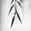 Picture of WILLOW PRINT NO. 2