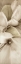Picture of FLORISON - 70