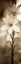 Picture of FLORISON - 71