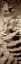 Picture of FLORISON - 80
