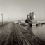 Picture of FORBES ISLAND - 1