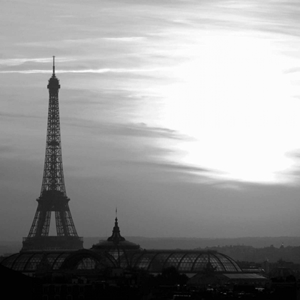 Picture of EIFFEL TOWER VIEW