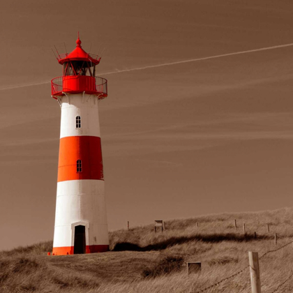Picture of RED AND WHITE LIGHTHOUSE
