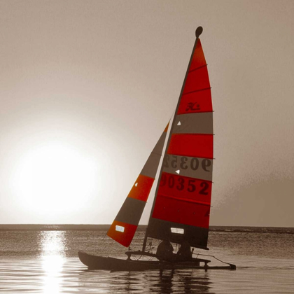 Picture of SAILBOAT SUNSET