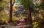 Picture of BERLIN PARK