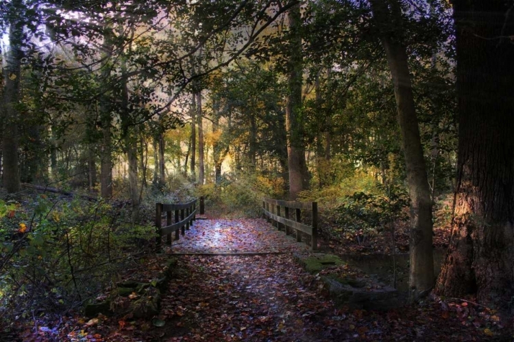 Picture of BEYOND THE WOODEN BRIDGE