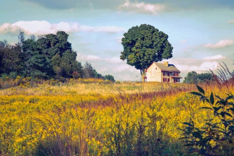 Picture of HOUSE ON A HILL