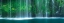 Picture of HIDDEN PARADISE