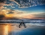 Picture of INTO THE SEA