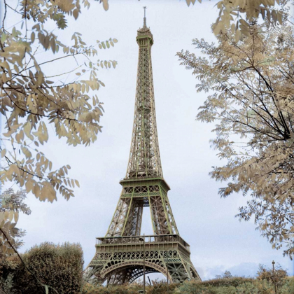 Picture of TOUR EIFFEL AU PRINTEMPS