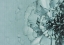 Picture of CLOSE UP FLOWER