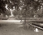 Picture of BANC DE JARDIN - 41