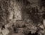 Picture of BANC DE JARDIN - 52