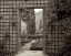 Picture of BANC DE JARDIN - 54