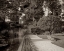 Picture of BANC DE JARDIN - 57