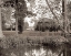 Picture of BANC DE JARDIN - 59
