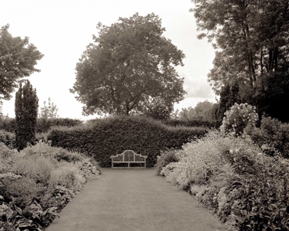 Picture of BANC DE JARDIN - 61