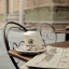 Picture of BAR LA POSTA PIENZA - 1