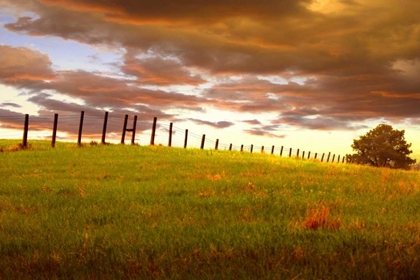 Picture of FENCELINE, SOUTH DAKOTA