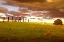 Picture of FENCELINE, SOUTH DAKOTA