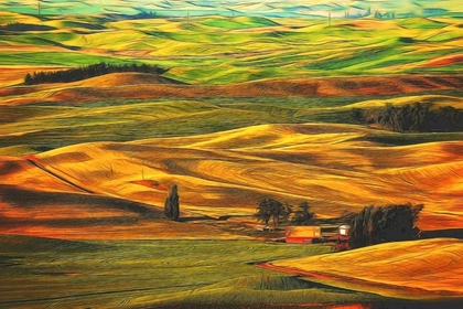 Picture of PALOUSE #22