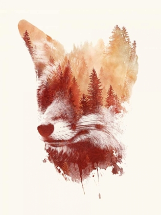 Picture of BLIND FOX