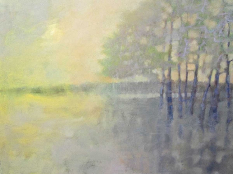 Picture of SPRING FLOOD