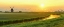 Picture of MORNING MEADOW