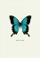 Picture of BLUE BUTTERFLY