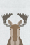 Picture of MOOSE