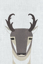 Picture of PRONGHORN ANTELOPE
