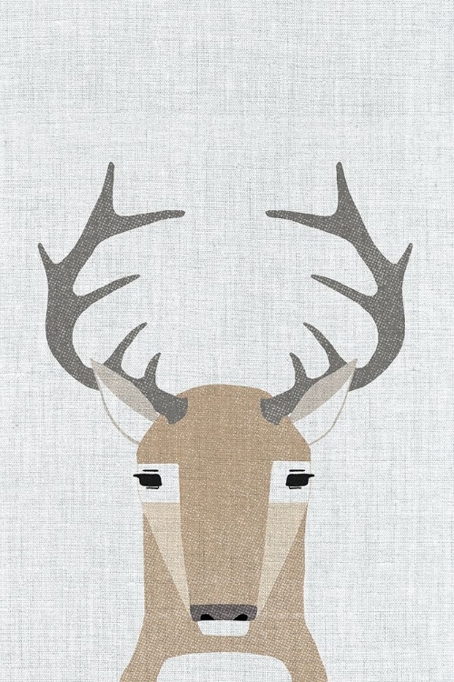 Picture of WHITETAIL DEER