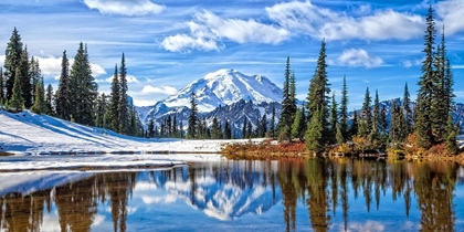 Picture of MT. RAINIER VISTA