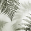Picture of FERNS NO. 1