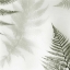 Picture of FERNS NO. 2