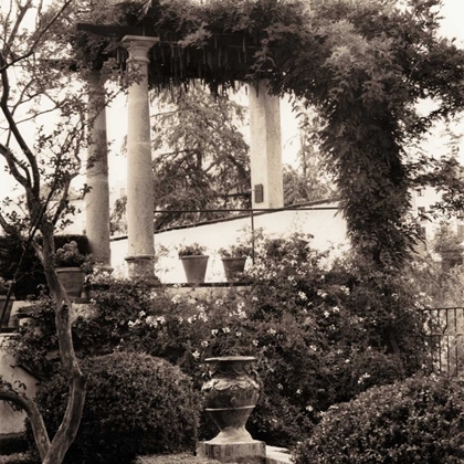 Picture of JARDIN DEL RONDA