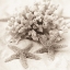 Picture of LA MER 1